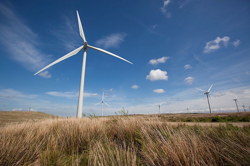 whitelee06_resize