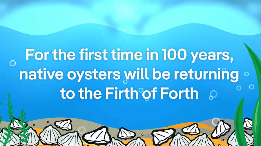 SPF Restoration Forth: Returning Native Oysters to