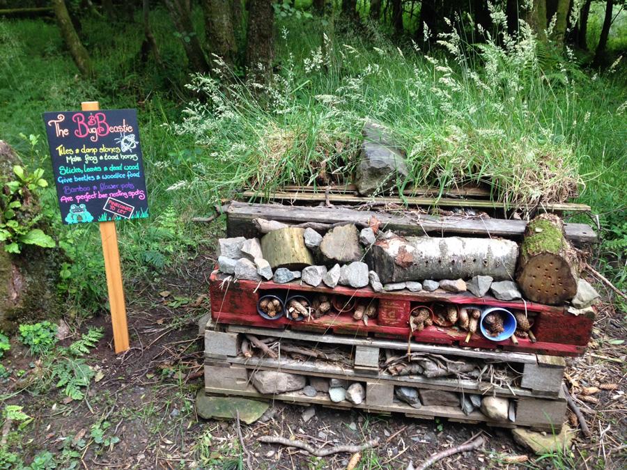 TrossachsNationalPark2