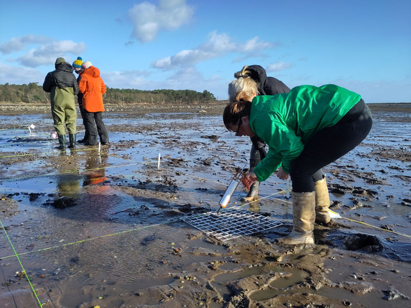 Melanie Hill planting restoration with Forth Restoration