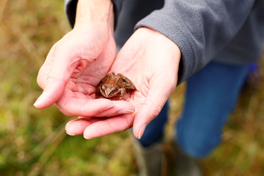 ScottishPower Foundation Awards Celebrate Charities Changing Lives Frog
