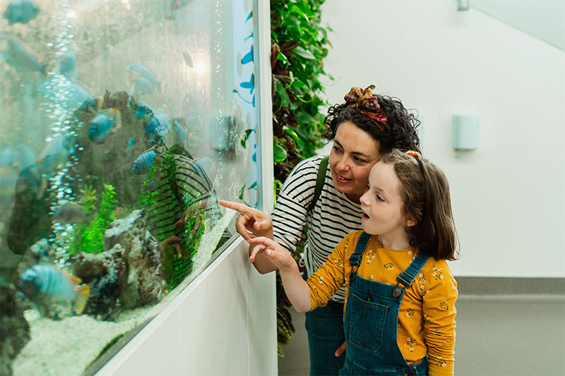 TECHNIQUEST_Fish_Tank