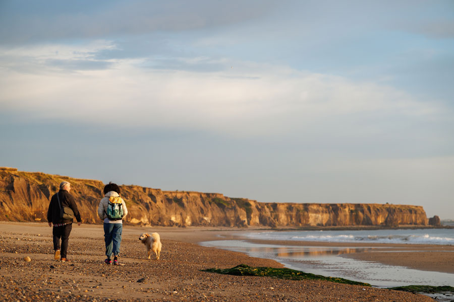 A couple and their dog walk along a beach