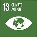 United Nations Sustainable Development Goals: Climate Action