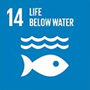 United Nations Sustainable Development Goals: Life Below Water