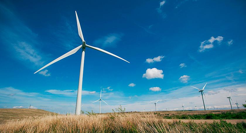 Whitelee windfarm